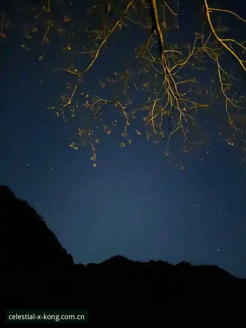 星空官方第十二版手机注册全流程深度评测：那些90%用户踩过的坑